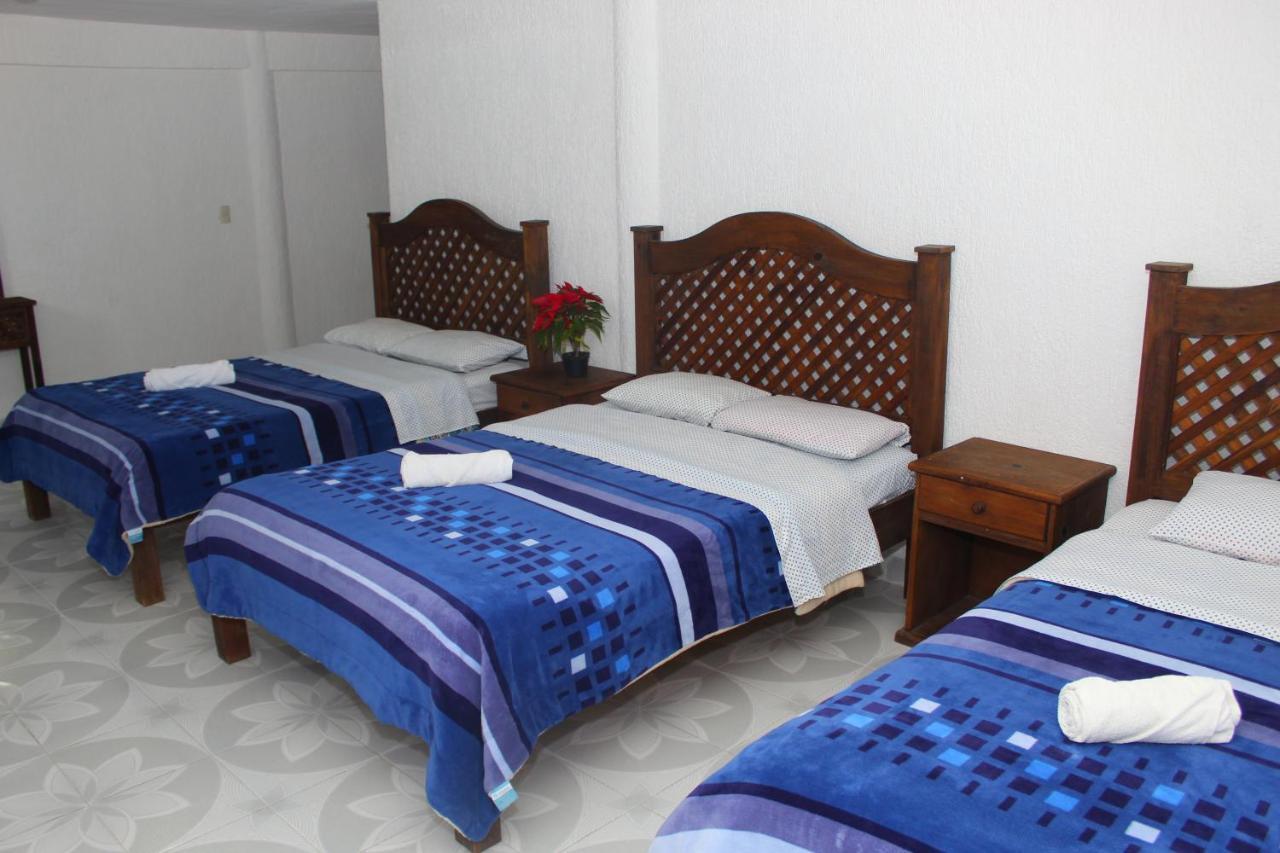 Panda Viajero * San Felipe Ecatepec
