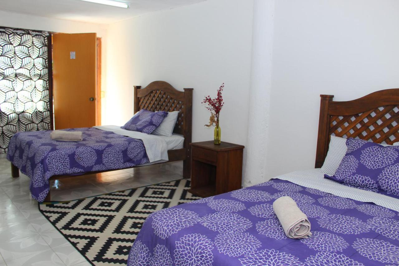 Panda Viajero Hotel